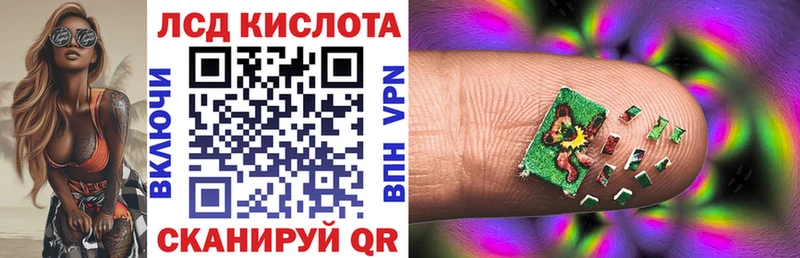 дарнет шоп  Фёдоровский  Марки NBOMe 1,8мг 